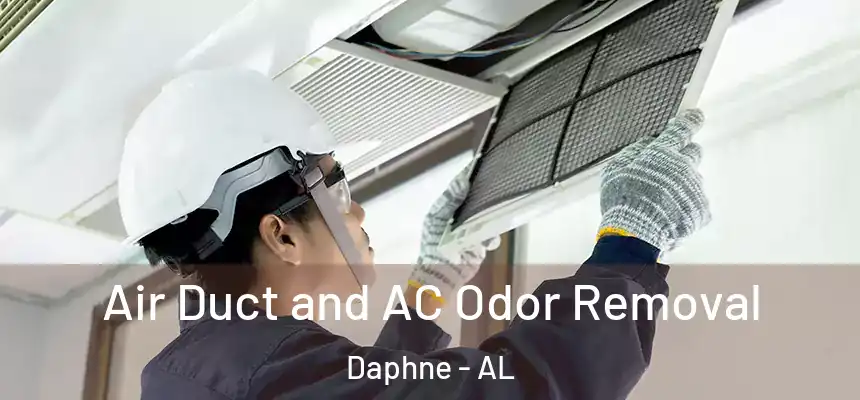  Air Duct and AC Odor Removal Daphne - AL
