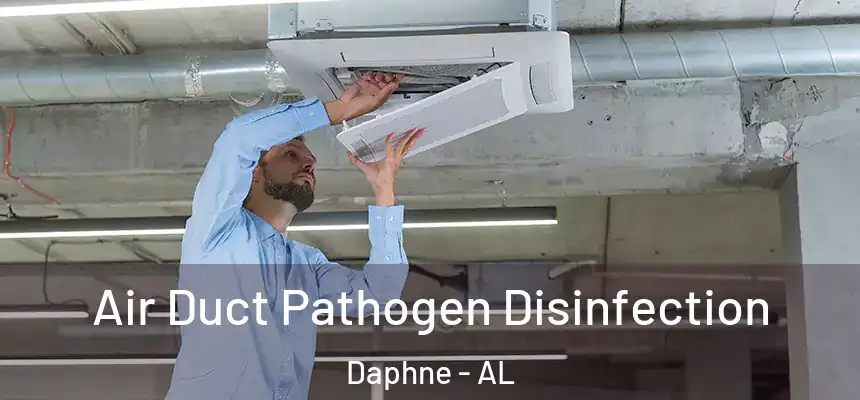  Air Duct Pathogen Disinfection Daphne - AL