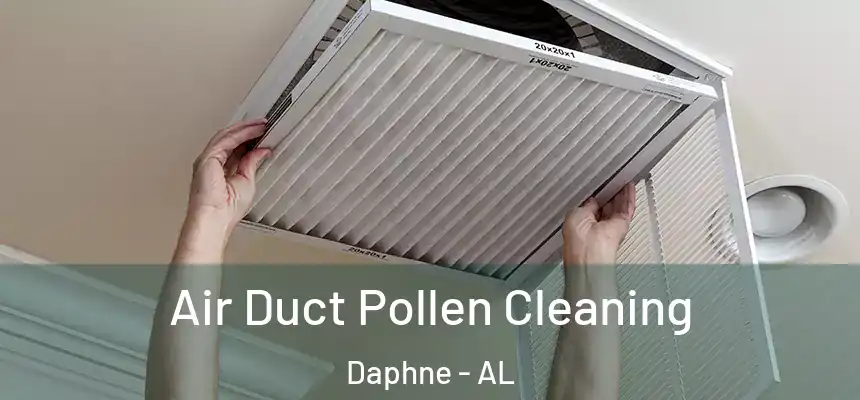 Air Duct Pollen Cleaning Daphne - AL