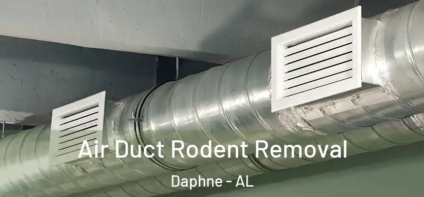 Air Duct Rodent Removal Daphne - AL