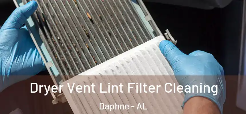 Dryer Vent Lint Filter Cleaning Daphne - AL