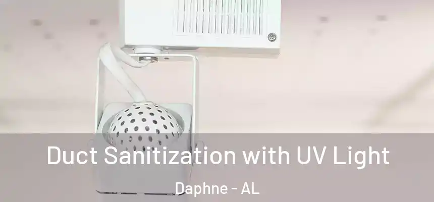  Duct Sanitization with UV Light Daphne - AL