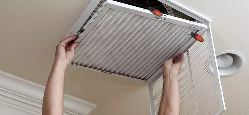 Our Insect Removal from Air Ducts Services in Daphne, AL