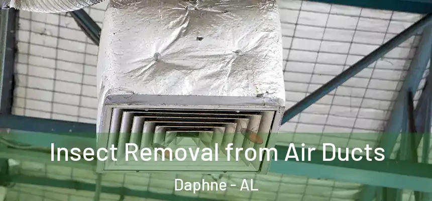Insect Removal from Air Ducts Daphne - AL