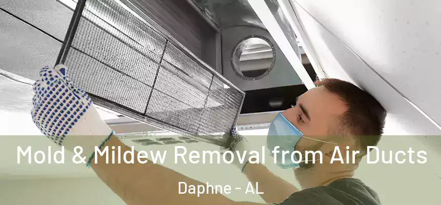 Mold & Mildew Removal from Air Ducts Daphne - AL