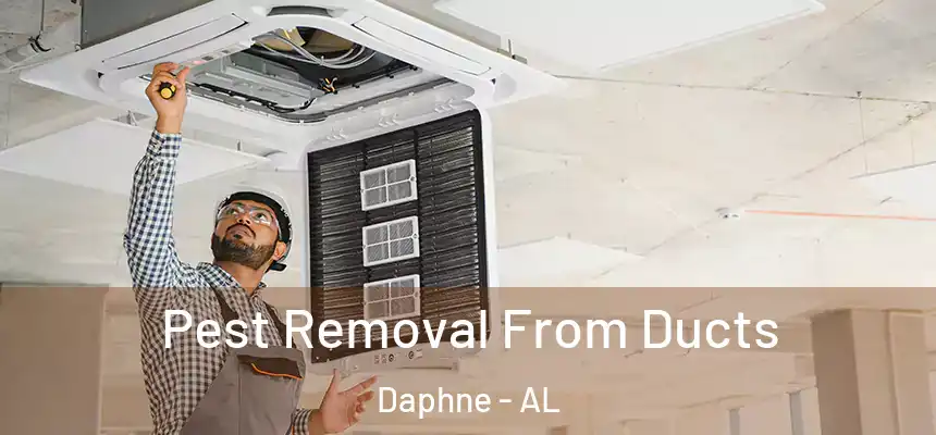 Pest Removal From Ducts Daphne - AL