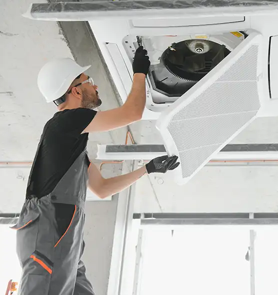 About Air Duct Rodent Removal in Daphne, AL