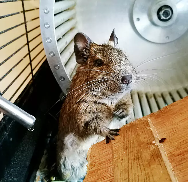 Why Homeowners & Businesses Trust Us Daphne, AL?