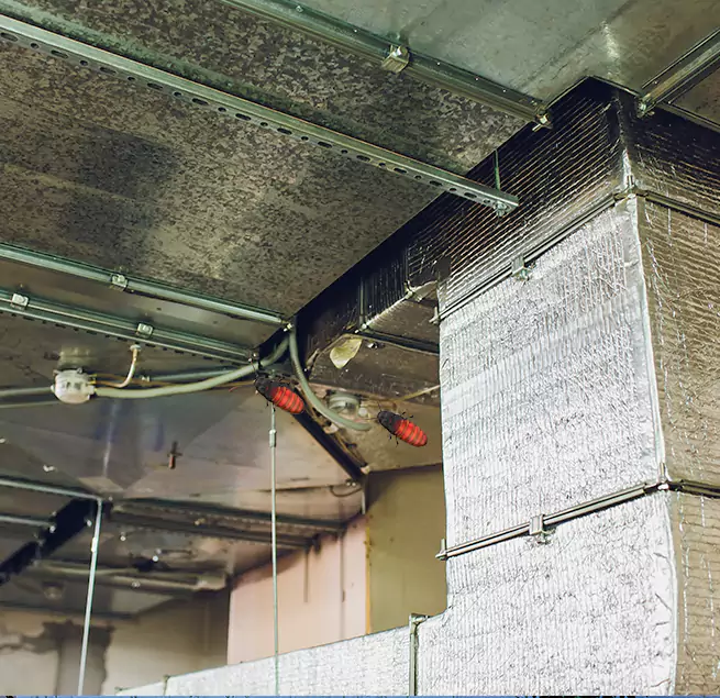 Why Homeowners & Businesses Trust Us Daphne, AL?